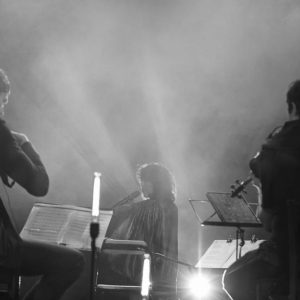 XXX Festiwal Muzyka w Sandomierzu – zdj. autorstwa Andrzeja Trawińskiego