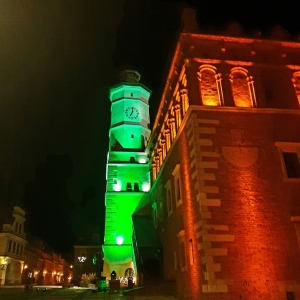 Dzień Św. Patryka w Sandomierzu -  akcja Global Greening