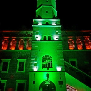Dzień Św. Patryka w Sandomierzu - akcja Global Greening