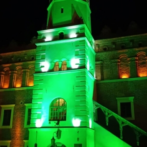 Ratusz podświetlony na zielono w ramach akcji Global Greening