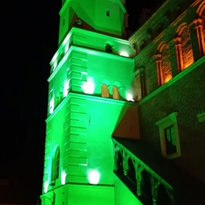 Ratusz podświetlony na zielono w ramach akcji Global Greening